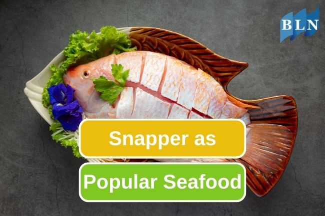 Snapper As One Of The Popular Seafood